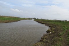 13.-Downstream-from-Perrymoor-Rhyne-2
