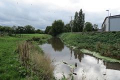 6.-Looking-upstream-to-Congresbury-Weir-4