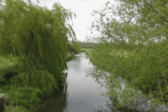 11.-Pitney-Steart-Bridge-Looking-Downstream