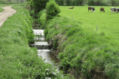 14.-Pitney-Steart-Bridge-Trib-Stream-2