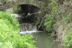 14.-Pitney-Steart-Bridge-Trib-Stream-3