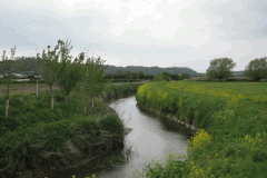 6.-Downstream-from-Somerton-Door-Bridge-2