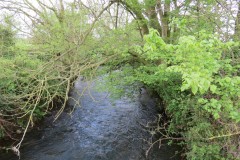 1.-Looking-downstream-from-South-Bradon-ROW-Bridge-4928
