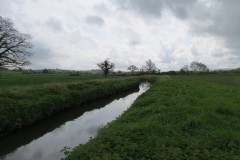 16.-Upstream-from-South-Bradon-1