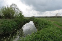 16.-Upstream-from-South-Bradon-3