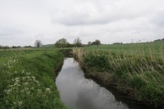 16.-Upstream-from-South-Bradon-5