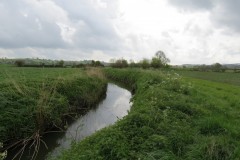 16.-Upstream-from-South-Bradon-6