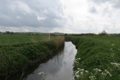 16.-Upstream-from-South-Bradon-7