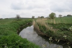 16.-Upstream-from-South-Bradon-8