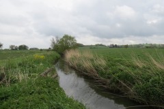 16.-Upstream-from-South-Bradon-9