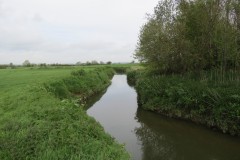 17.-Downstream-from-Ilford-Bridge-4