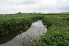 17.-Downstream-from-Ilford-Bridge-7