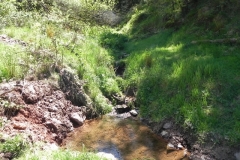 12. Flowing through Chargot  Woods