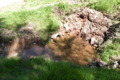 13. Flowing through Chargot  Woods