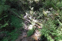 2. Source on Langham Hill