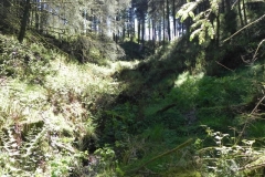 4. Flowing through Chargot  Woods