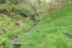 10. Flowing through Chargot Woods