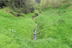 11. Flowing through Chargot Woods
