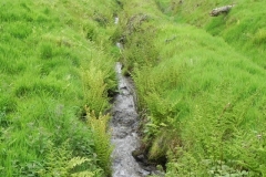 12. Flowing through Chargot Woods