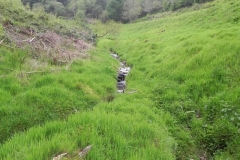 17. Flowing through Chargot Woods