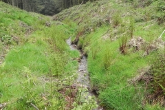 18. Flowing through Chargot Woods
