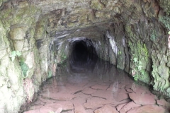 2. Chargot Woods West headwater adit source