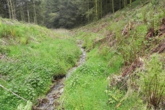20. Flowing through Chargot Woods