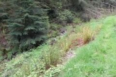 21. Flowing through Chargot Woods