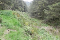 22. Flowing through Chargot Woods