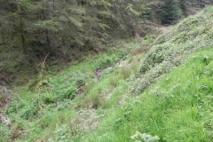 23. Flowing through Chargot Woods