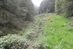25. Flowing through Chargot Woods