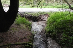 26. Flowing through Chargot Woods
