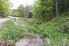 27. Chargot Hills east headwaters join