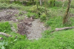 29. Combined headwaters flowing through Chargot Woods