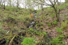 3. Flowing through Chargot Woods