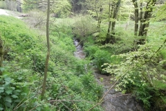 30. Combined headwaters flowing through Chargot Woods