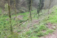 32. Combined headwaters flowing through Chargot Woods