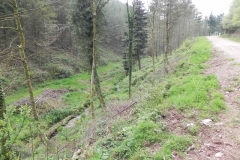 33. Combined headwaters flowing through Chargot Woods