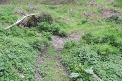 35. Upstream from Upper Pond Cottages
