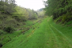 5. Flowing through Chargot Woods