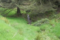 6. Flowing through Chargot Woods
