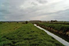 K.Cradle Bridge to Coldharbour Bridge