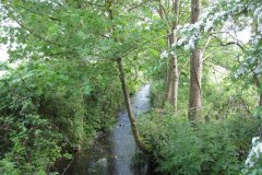 1.-Looking-Upstream-from-Croscombe-Sewage-Works-Bridge
