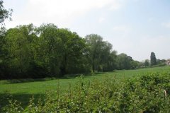 10.-Downstream-from-Dinder-Road-Bridge