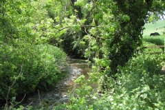 4-Downstream-from-Croscombe-Sewage-Works-Bridge