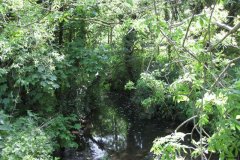 5.-Downstream-from-Croscombe-Sewage-Works-Bridge