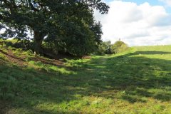 38.-Canal-bed-Higher-Wellisford