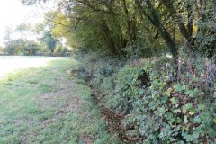 47.-Canal-line-above-Wellisford-incline