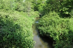 14.-River-Isle-leaves-A303-culvert