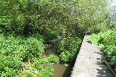 18.-Back-stream-seperated-by-training-wall.
